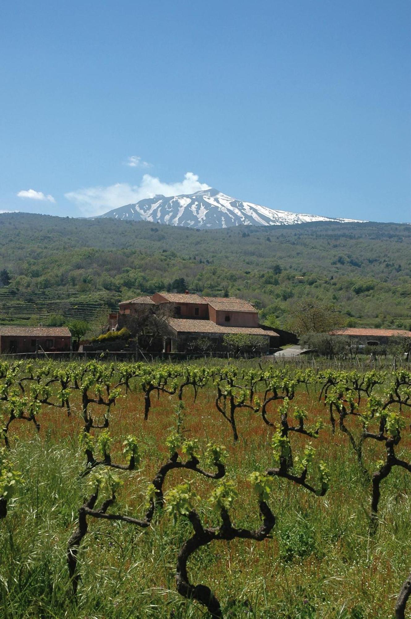 Agriturismo Valle Galfina Linguaglossa Kültér fotó