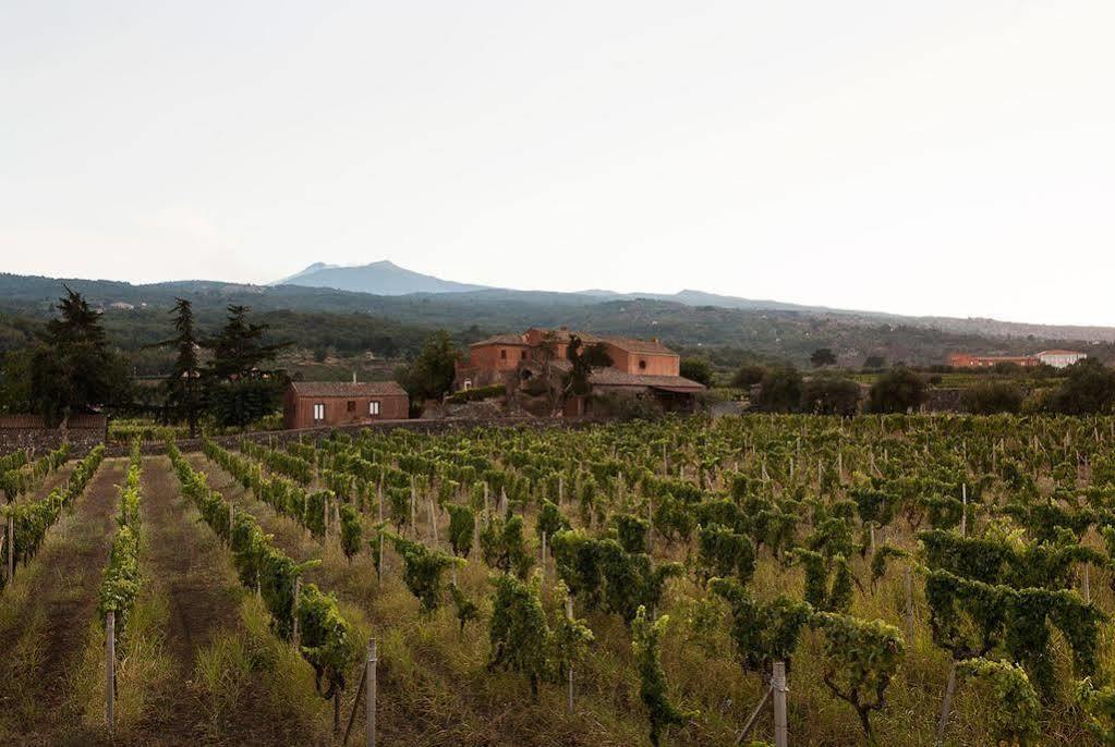 Agriturismo Valle Galfina Linguaglossa Kültér fotó